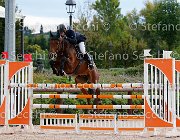 Bisi Pinky One GioCav2013 S5 3050 : Bisi Morgan, Campionati Italiani Giovani Cavalli, Cattolica, Pinky One, ph Stefano Secchi ©